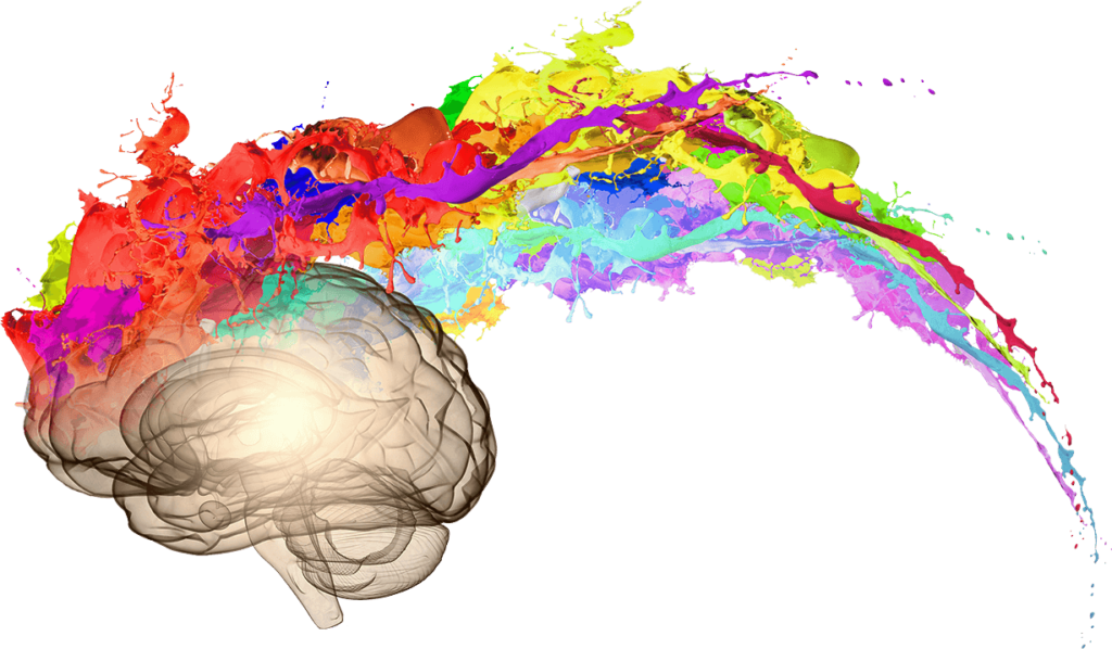 Brain