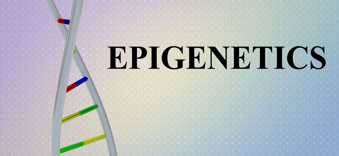 Epigenetics